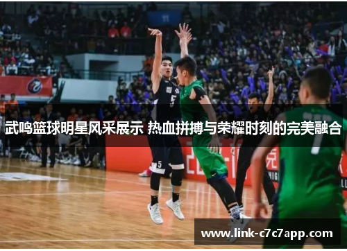 武鸣篮球明星风采展示 热血拼搏与荣耀时刻的完美融合