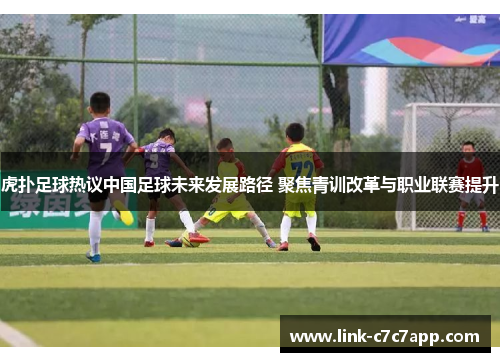 虎扑足球热议中国足球未来发展路径 聚焦青训改革与职业联赛提升